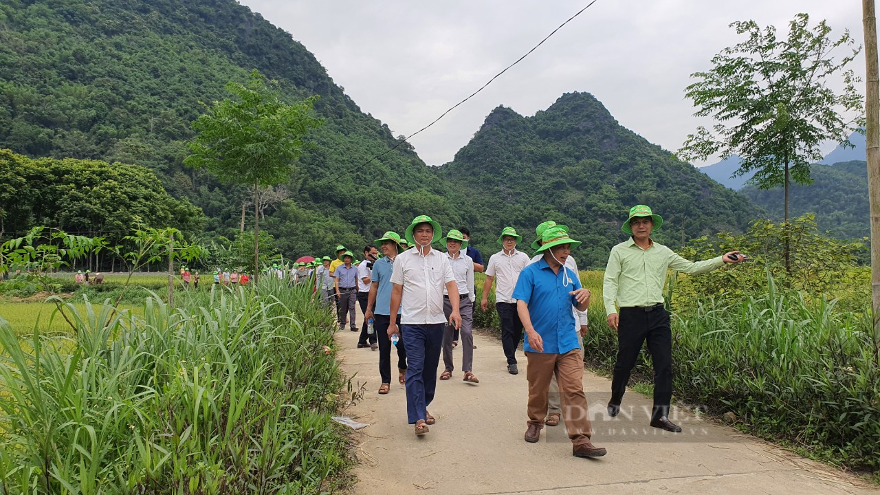 Thanh Hóa: Tổ chức hội thảo đầu bờ mô hình giống lúa TBR89 và TBR97 cho năng suất, chất lượng cao - Ảnh 5.