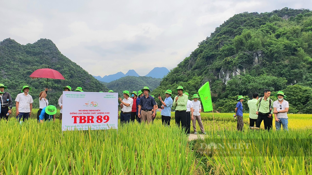 Thanh Hóa: Tổ chức hội thảo đầu bờ mô hình giống lúa TBR89 và TBR97 cho năng suất, chất lượng cao - Ảnh 1.