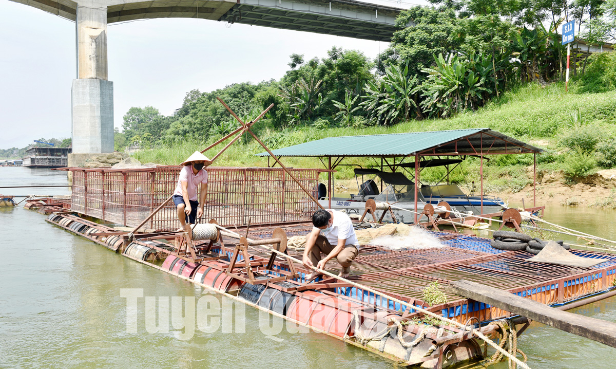 Nuôi cá quý hiếm, nuôi cá đặc sản trên sông Lô, nông dân Tuyên Quang bán 500.000-600.000 đồng/kg - Ảnh 4.