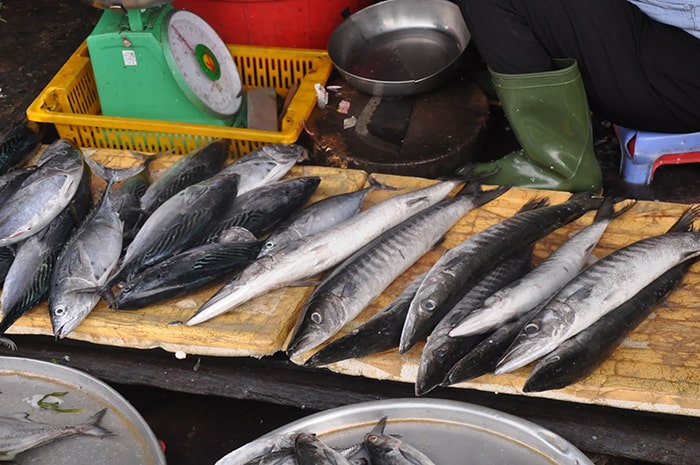 Phu Quoc summer tourism is hard to ignore the fish ball dish with the same nutrition as mackerel, tuna - Photo 1.