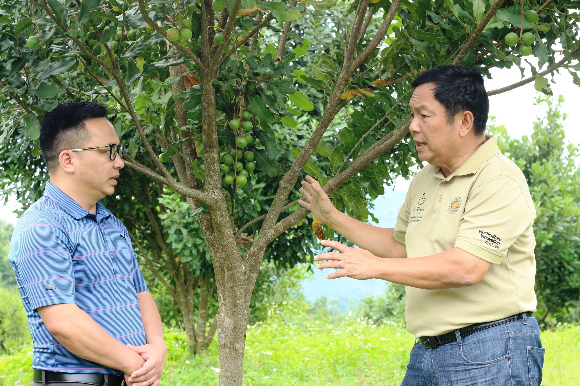Chủ tịch nước Nguyễn Xuân Phúc trồng vườn cây mắc ca ở Điện Biên - Ảnh 3.