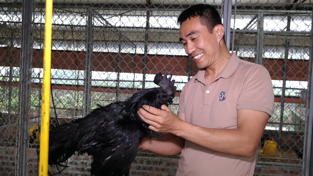 Những tỷ phú nông dân ở Quảng Ninh, có tỷ phú &quot;Duy gà đen&quot; nuôi giống gà lạ đắt nhất thế giới - Ảnh 4.