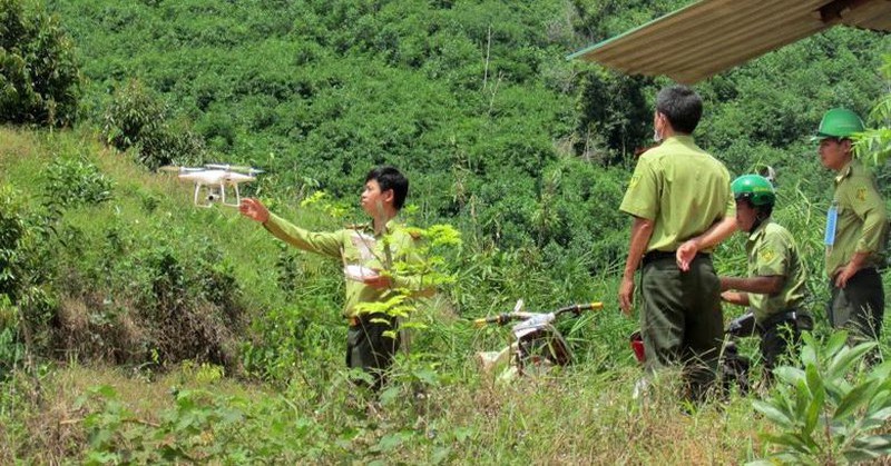 Taking advantage of planting trees, building houses next to Tan Phu-Lien Khuong highway: No compensation will be provided