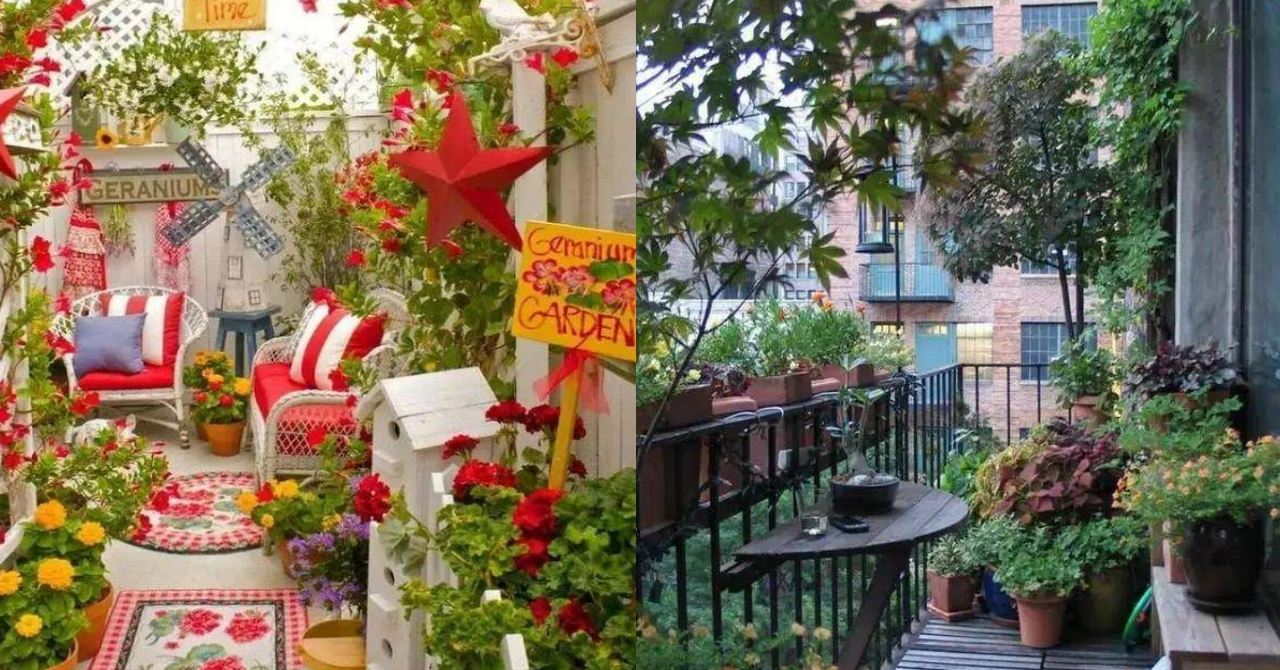 How to grow bonsai to turn a small balcony into a beautiful and charming garden?
