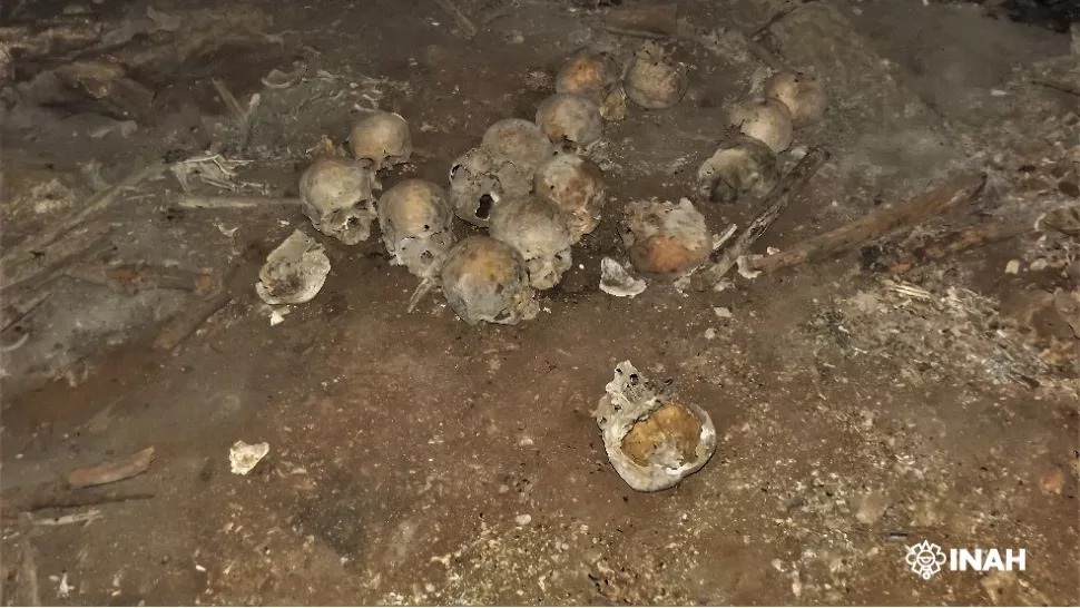 Lý do nào khiến 150 hộp sọ người bị nhổ mất răng niên đại 1.000 năm trong hang - Ảnh 1.