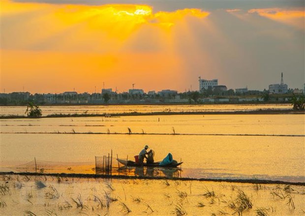 Phát triển kinh tế vùng Đồng bằng sông Cửu Long: Khơi dậy động lực - Ảnh 1.