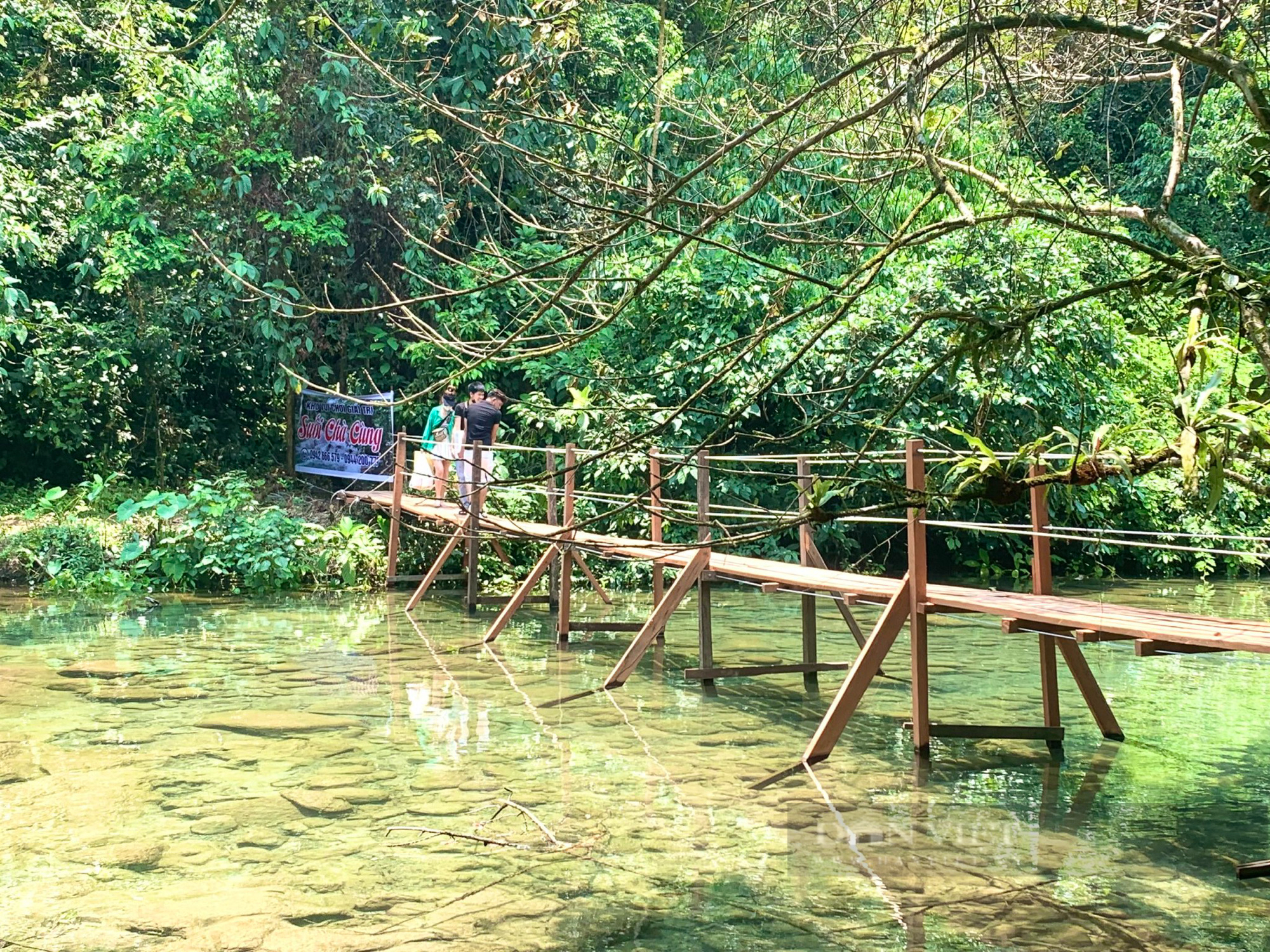 Vụ khu vui chơi giải trí không phép giữa rừng phòng hộ ở Quảng Bình: Dừng hoạt động kinh doanh du lịch - Ảnh 1.