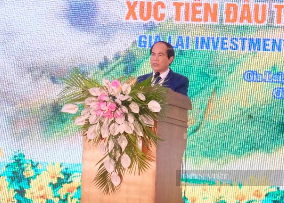 Chủ tịch UBND tỉnh Gia Lai: Mở ra &quot;cánh cửa&quot; mới chào đón nhà đầu tư - Ảnh 1.