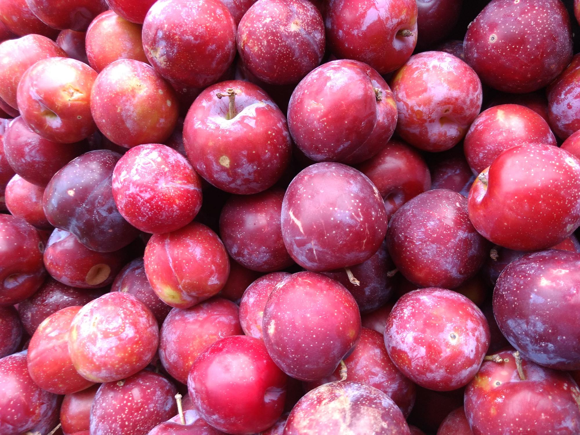 In the summer, don't be afraid to eat plums, both providing water and reducing constipation and preventing cancer - Photo 2.