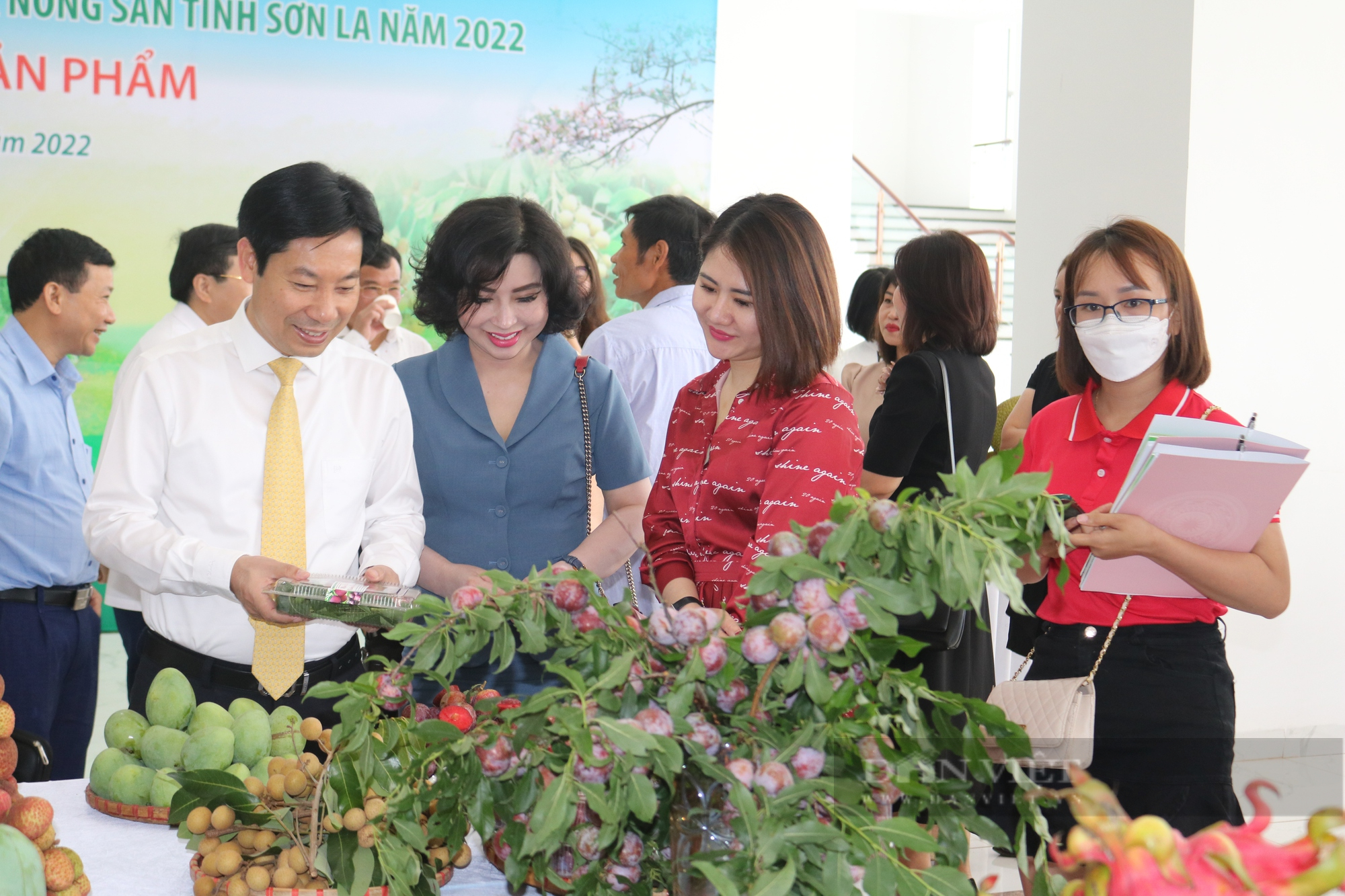 Sơn La: Mô hình mẫu trong sản xuất, tiêu thụ và xuất khẩu nông sản tiêu biểu của cả nước - Ảnh 3.