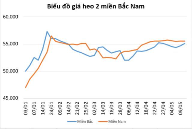 Thức ăn chăn nuôi tăng giá lần thứ 5, heo hơi bán không đủ hòa vốn - Ảnh 2.