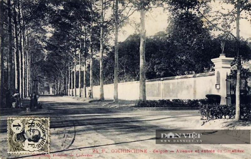 Công viên Lê Văn Tám - nghĩa trang khổng lồ ngay trung tâm quận 1 Sài Gòn - Ảnh 1.