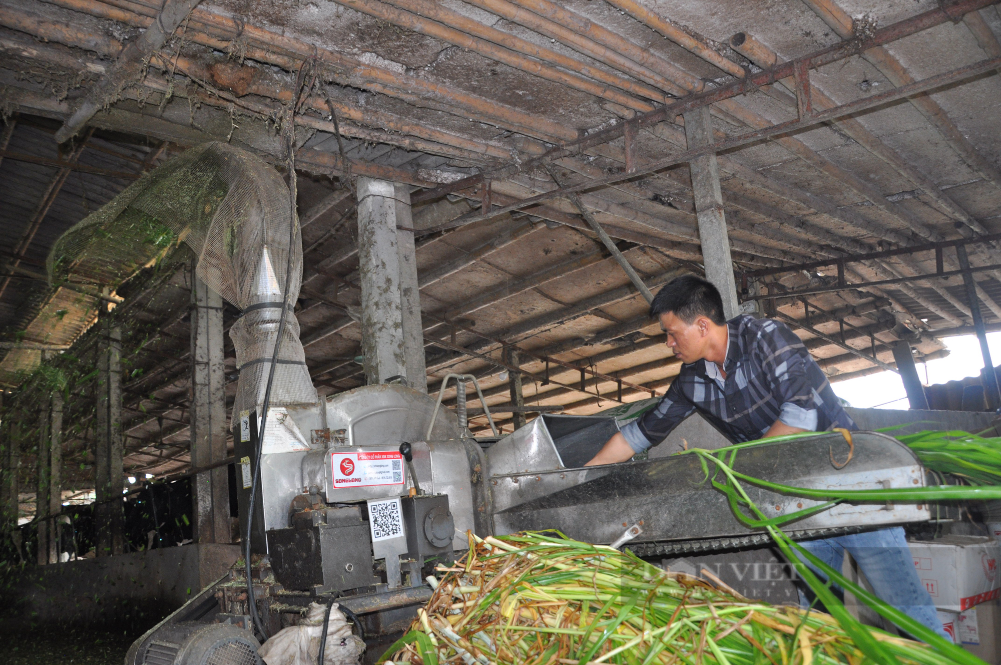 Môi trường sạch, nông dân tăng thu nhập nhờ sản xuất nông nghiệp tuần hoàn - Ảnh 1.