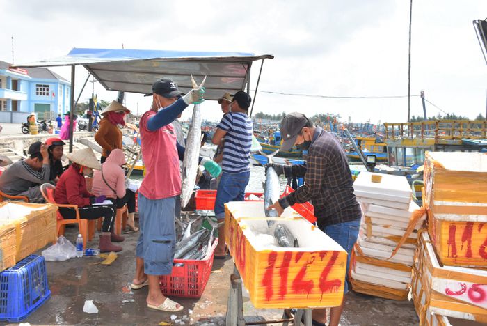 Tàu cá nằm bờ, dù đang mùa đánh bắt - Ảnh 1.