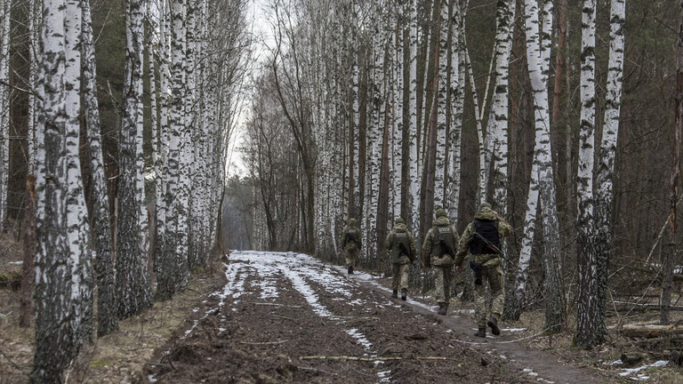 Belarus accused the Ukrainian army of air strikes on the border - Photo 1.