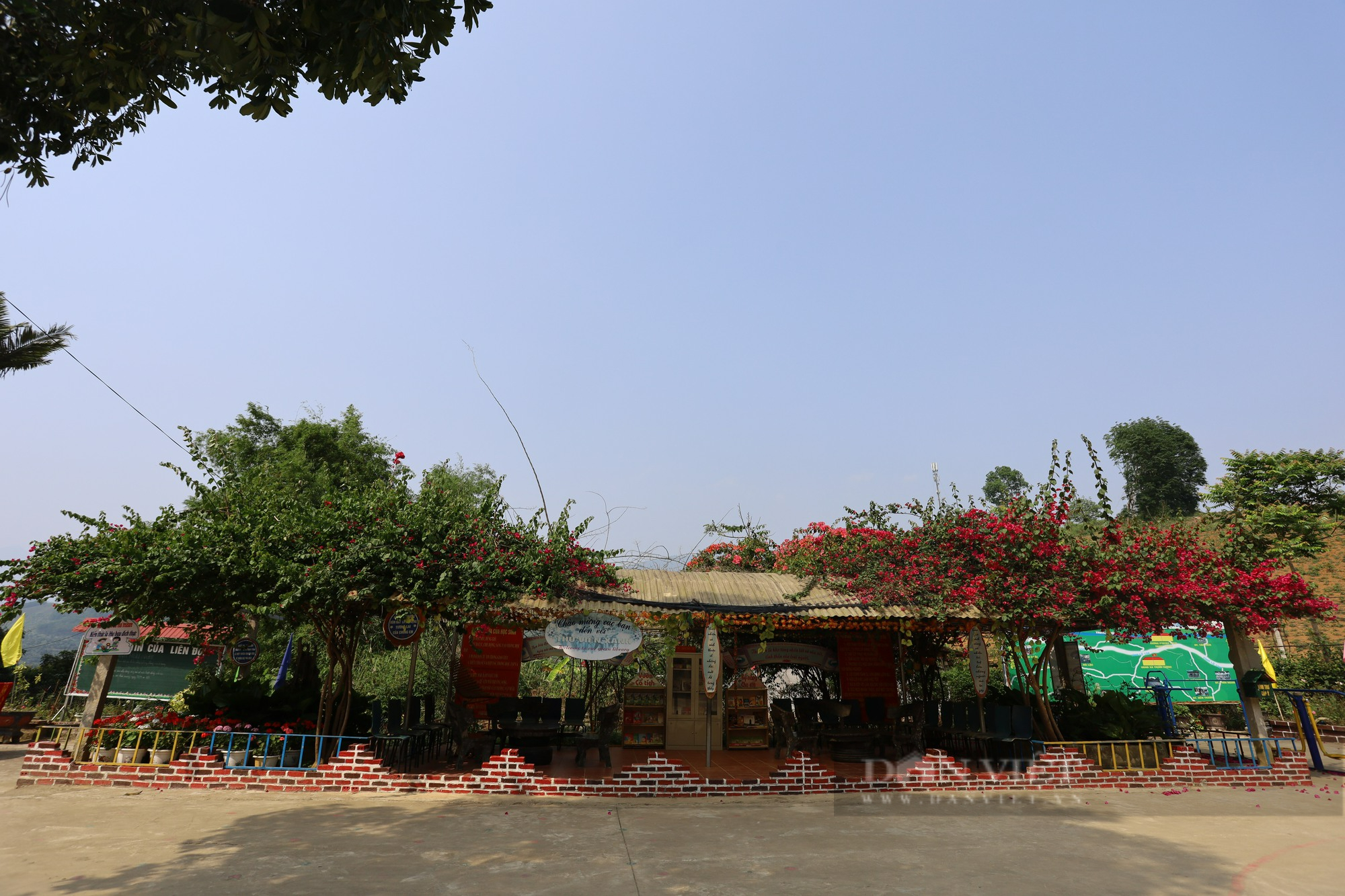“Tiếp lửa” thư viện xanh, tủ sách tri thức cho học sinh vùng cao ở Lào Cai - Ảnh 6.