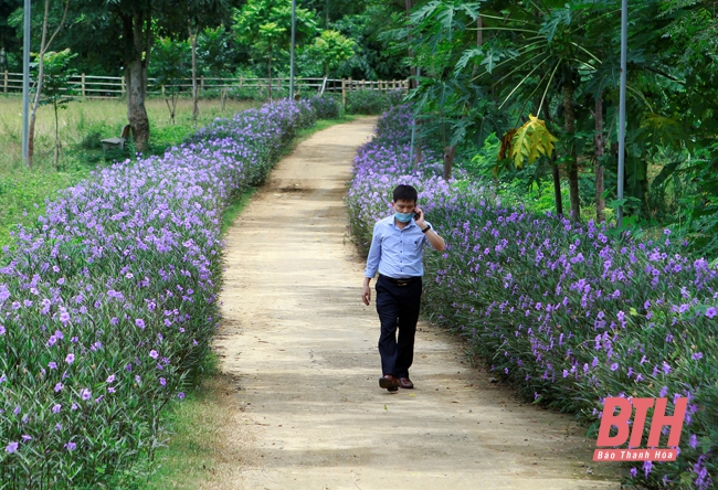 Con đường hoa nông thôn mới ở miền núi Thanh Hóa, ai đi qua ngỡ như lối dẫn vào cổ tích - Ảnh 2.