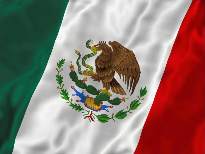 Loại cây dại nổi tiếng nhất Mexico, xuất hiện trong cả quốc kỳ nước này - Ảnh 1.