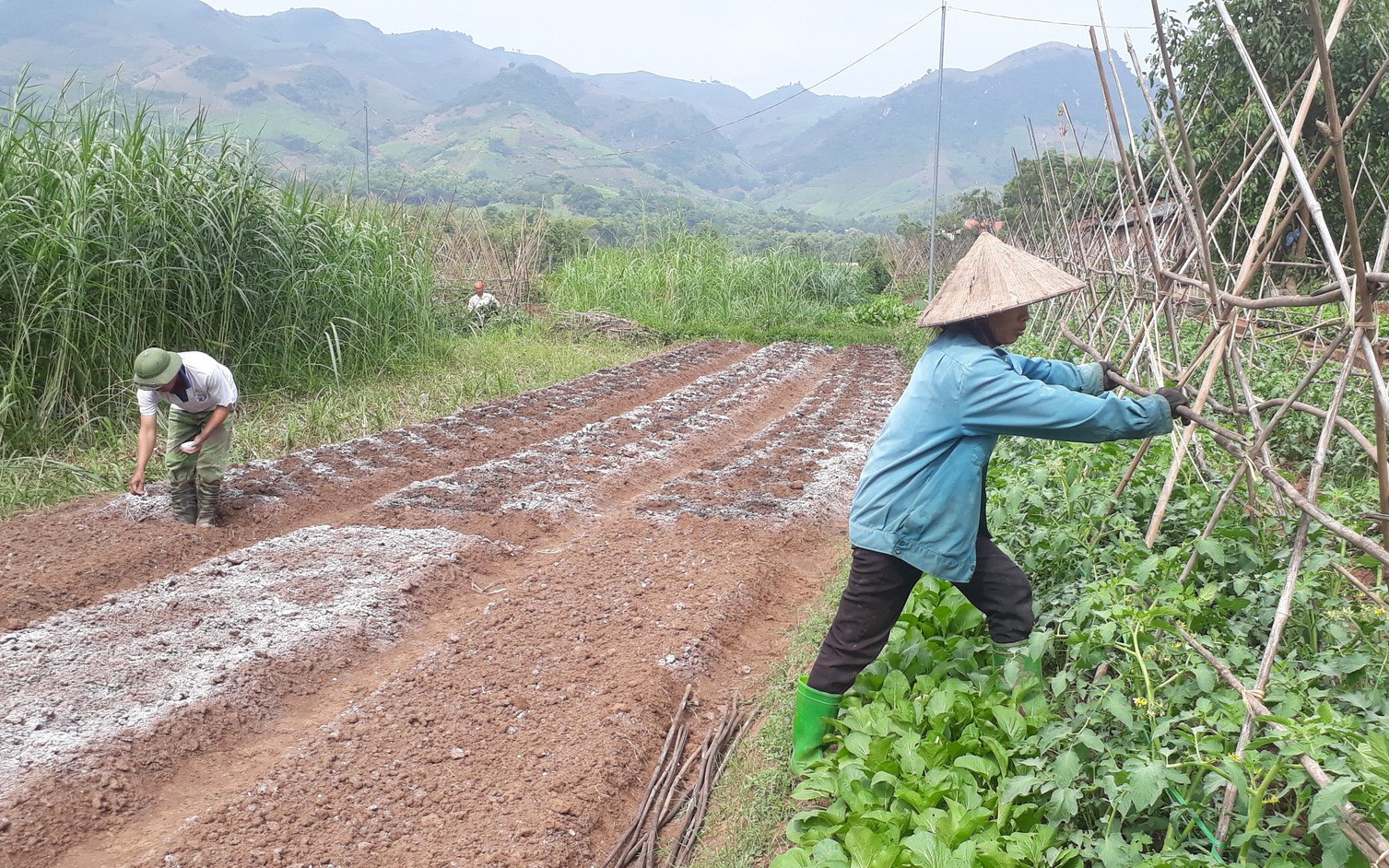 Đất nông nghiệp có tách thửa được không và chi phí tách thửa đất nông nghiệp năm 2022 là bao nhiêu?