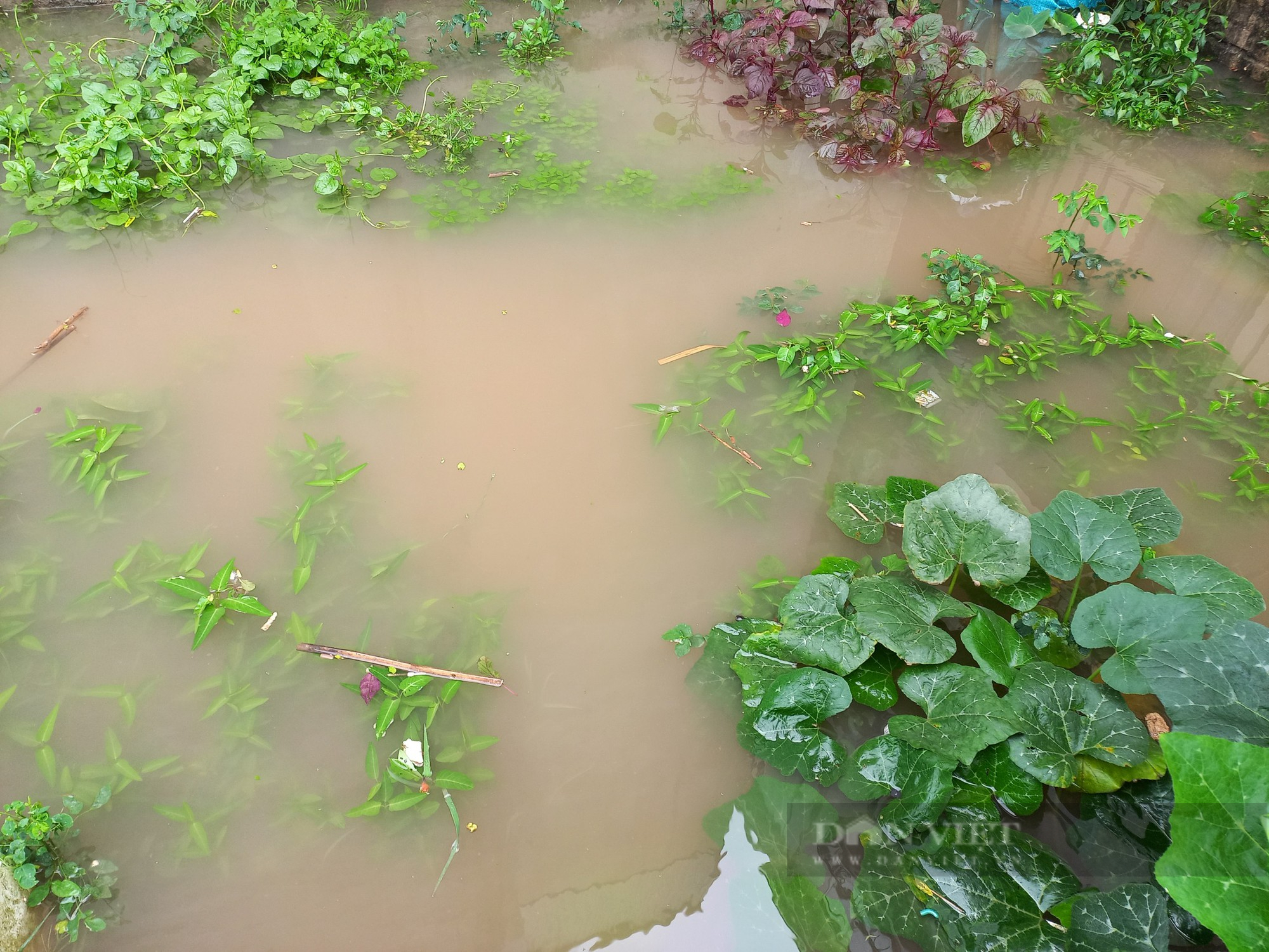 Yên Nghĩa - Hà Đông (Hà Nội): Nhiều ô tô chết máy do đường ngập sau cơn mưa lớn - Ảnh 3.