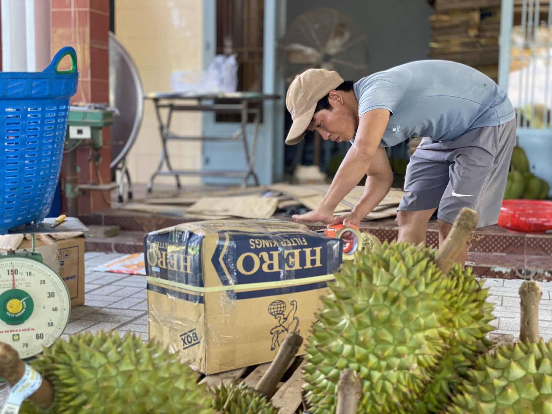 Một xã của Tây Ninh trồng tới 1.000ha sầu riêng, giá sầu riêng đang cao như thế, dân ở đây thu mấy trăm tỷ? - Ảnh 8.