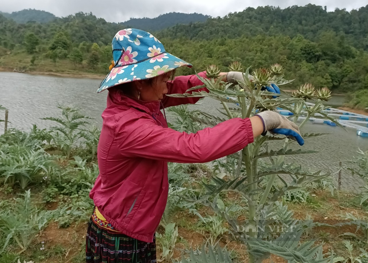 Tâm tư, kiến nghị gửi Thủ tướng: Nông dân mong có thêm chính sách hỗ trợ sinh kế để giữ, bảo vệ rừng - Ảnh 3.