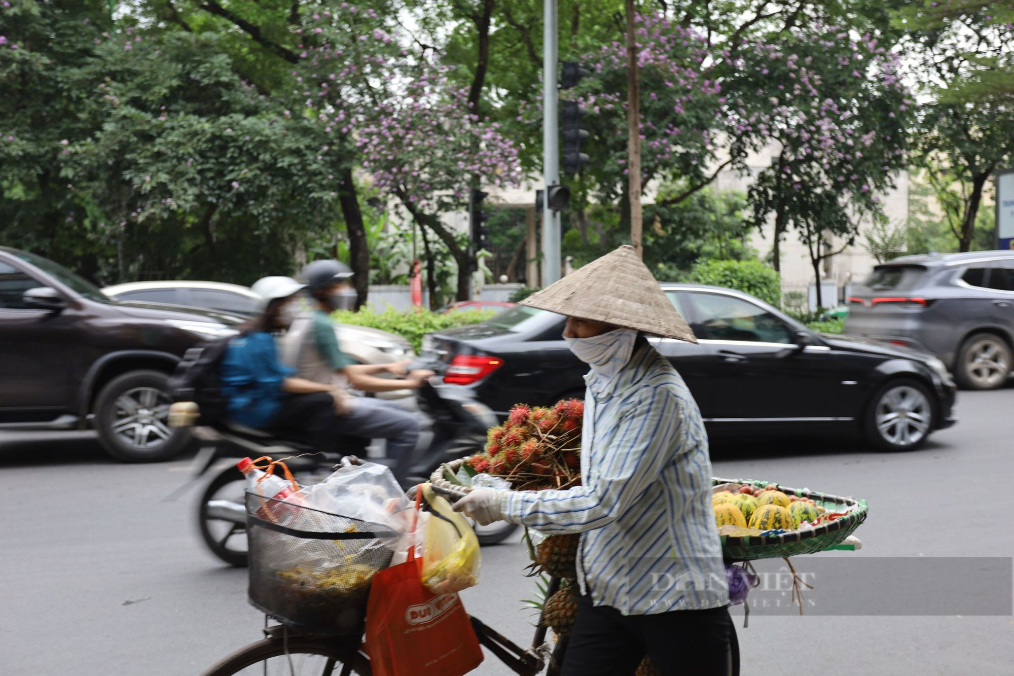 Ngỡ ngàng trước hình ảnh hoa bằng lăng nở rộ, tô sắc tím khắp phố phường Hà Nội - Ảnh 10.