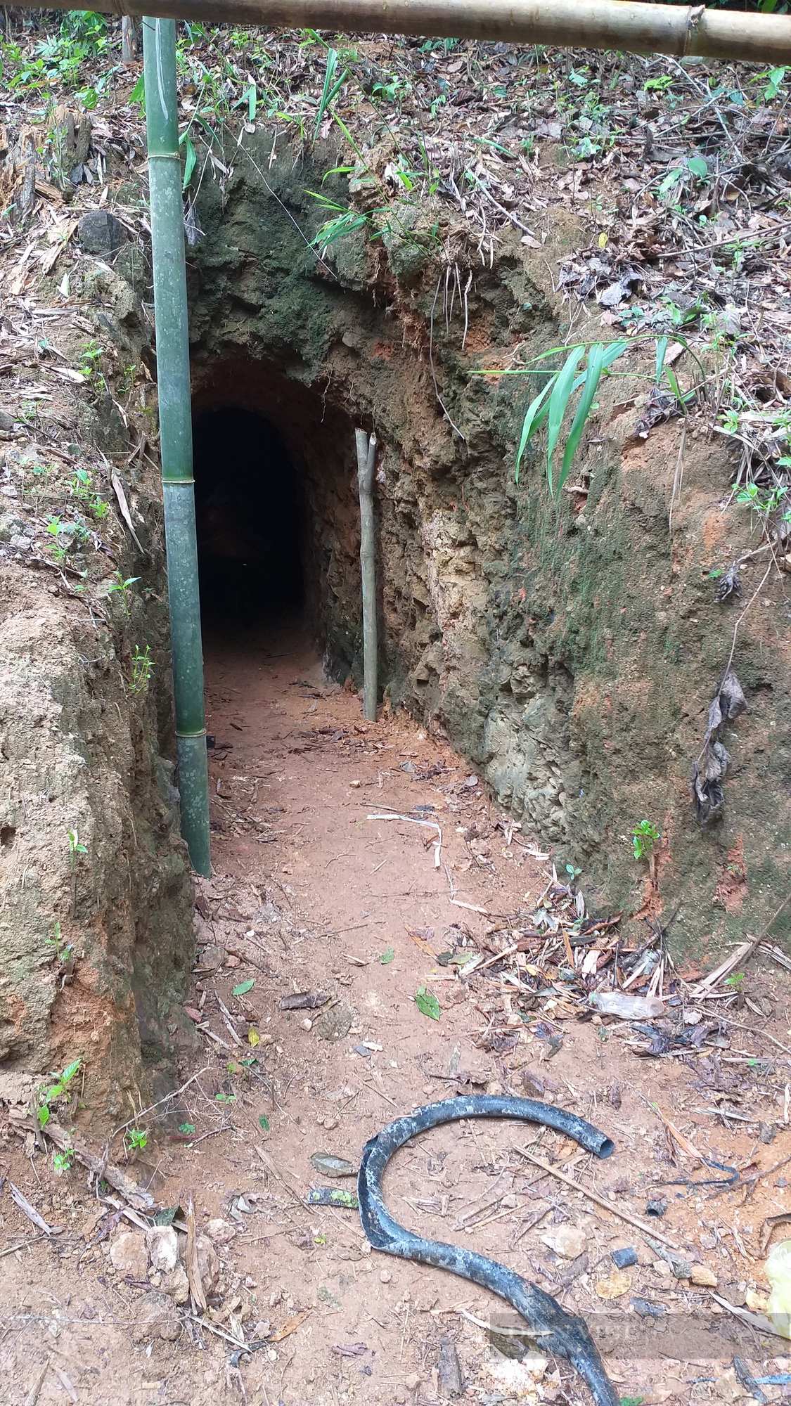 Kon Tum: Không phát hiện tình trạng khai thác vàng tại vườn quốc gia như cử tri phản ánh - Ảnh 3.