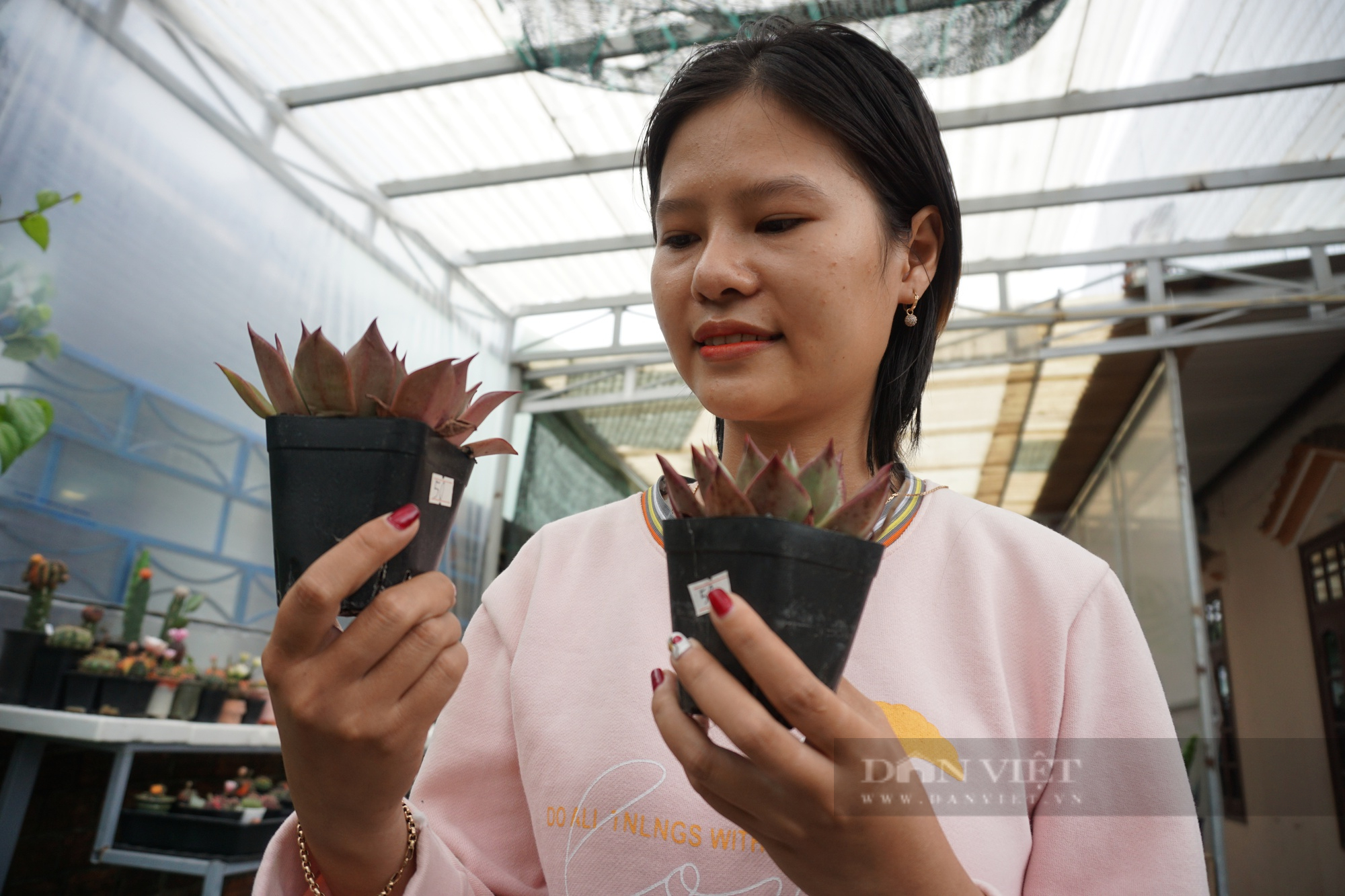 Quảng Nam: Trồng cây thân đầy gai, không có lá, 9X thu hàng trăm triệu mỗi năm - Ảnh 4.