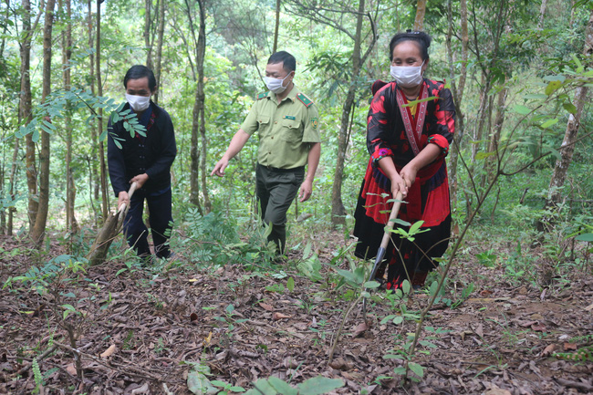 Điện Biên: Khắc phục bất cập quy hoạch 3 loại rừng   - Ảnh 4.