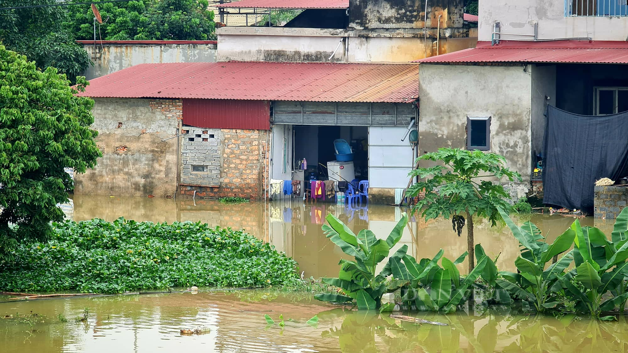 Thanh Hóa: Hàng trăm hộ dân ngập sâu sau trận mưa kéo dài - Ảnh 6.