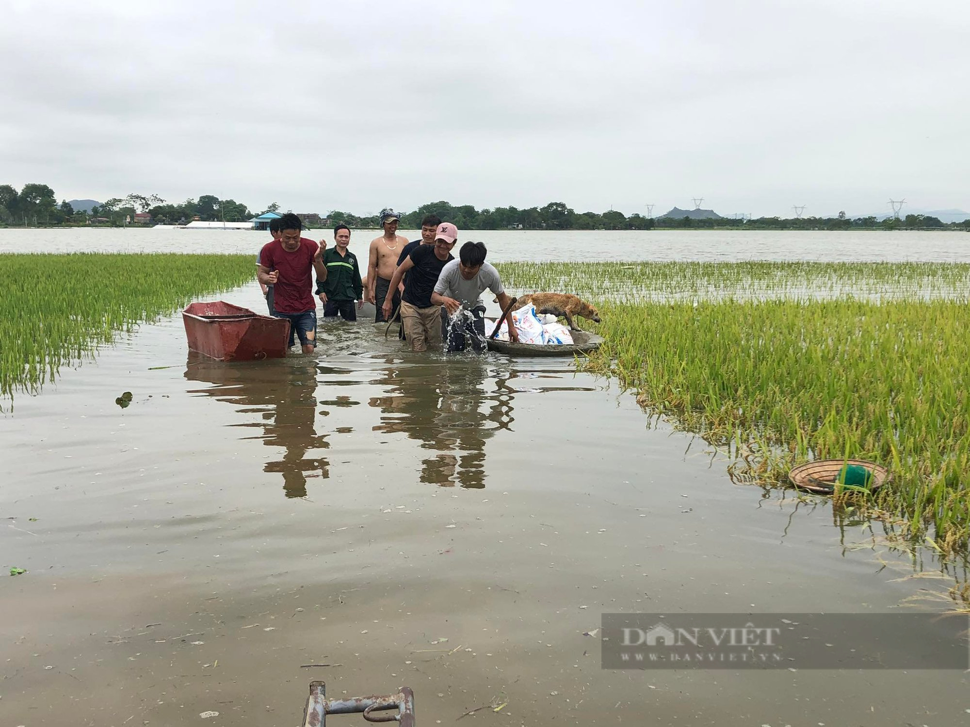 Thanh Hóa: Hàng trăm hộ dân ngập sâu sau trận mưa kéo dài - Ảnh 8.