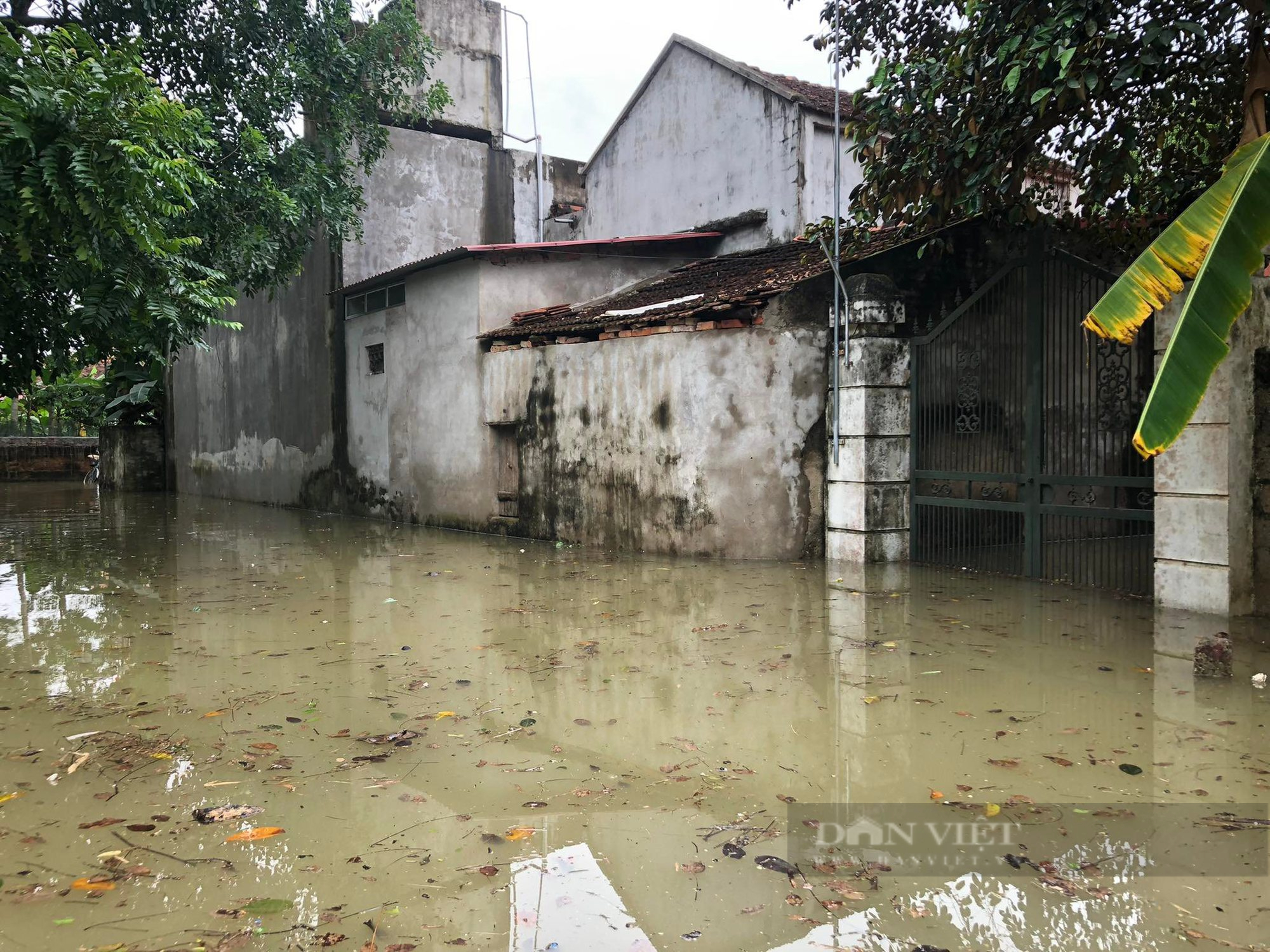 Thanh Hóa: Hàng trăm hộ dân ngập sâu sau trận mưa kéo dài - Ảnh 3.