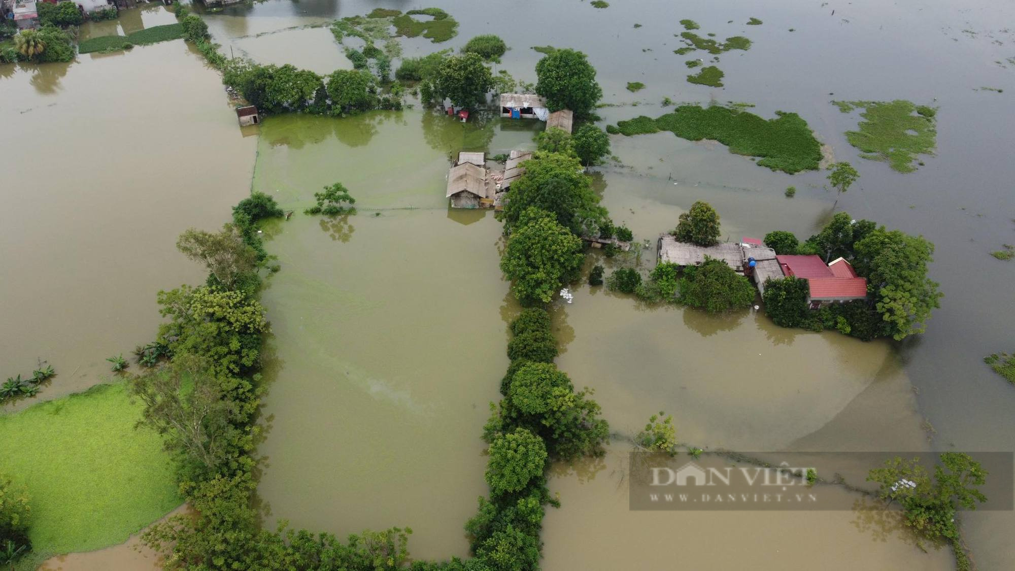 Thanh Hóa: Hàng trăm hộ dân ngập sâu sau trận mưa kéo dài - Ảnh 1.