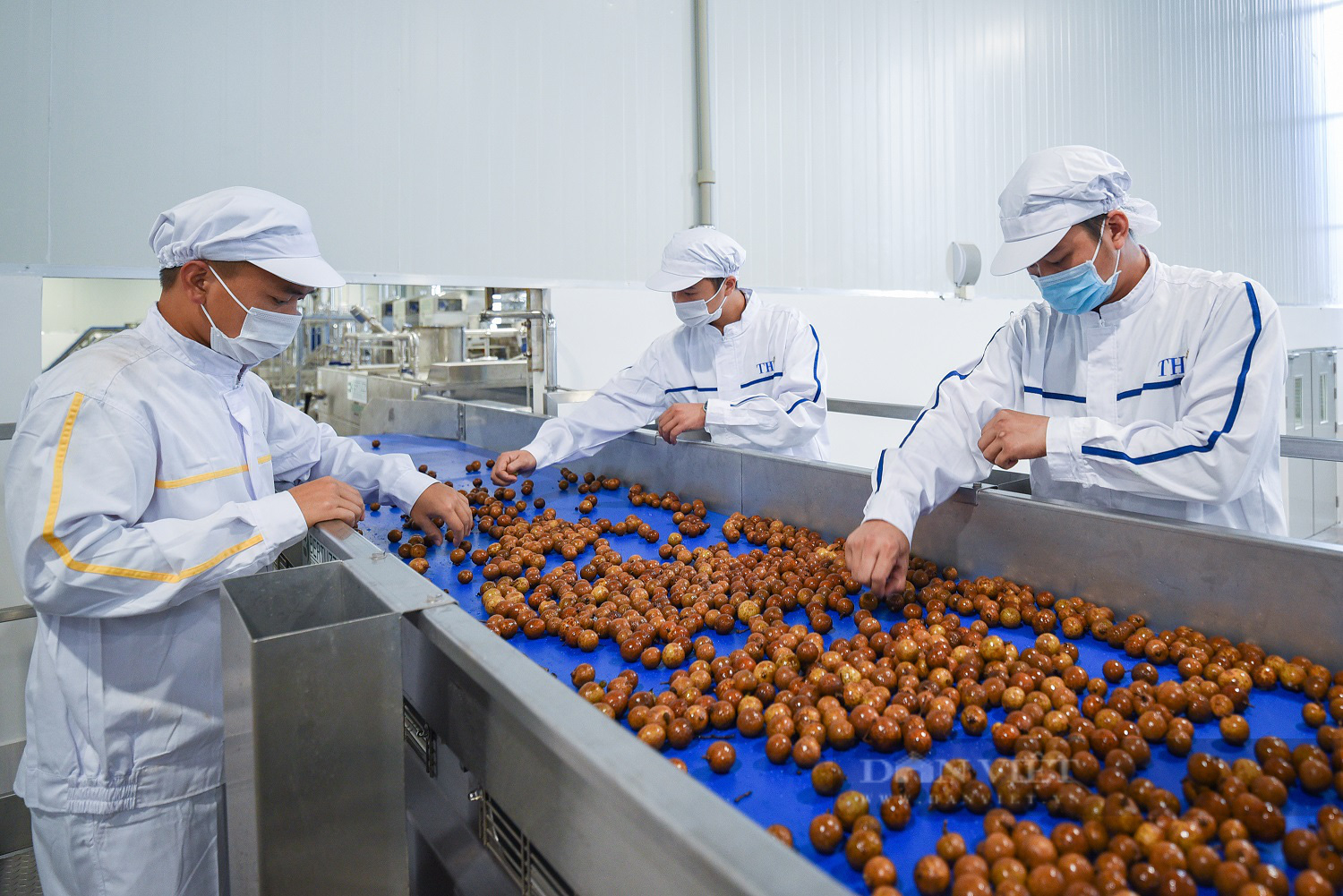 Với 560 cơ sở, nhà máy chế biến nông sản, Sơn La đang là điểm đến hấp dẫn cho các nhà đầu tư   - Ảnh 2.