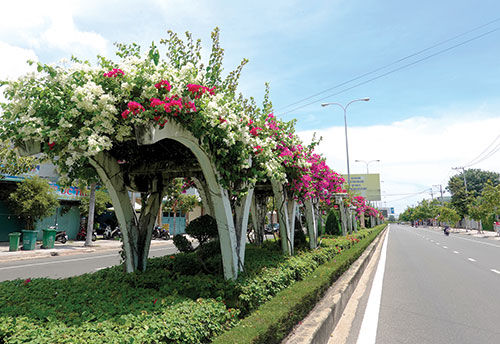 Thứ cây cảnh nhìn đâu cũng thấy hoa, hút ánh nhìn ở Phan Thiết của Bình Thuận khiến nhiều người mê li - Ảnh 2.