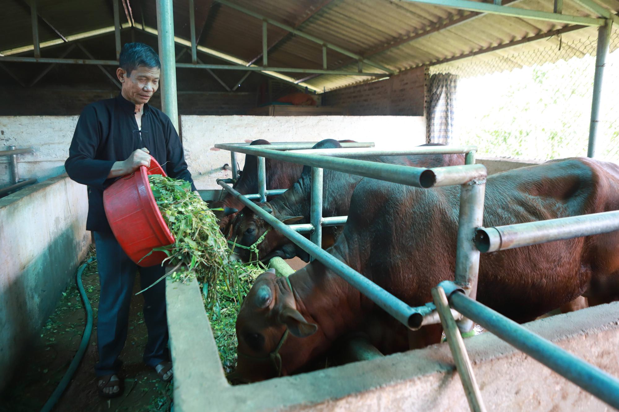 Tâm tư, kiến nghị gửi Thủ tướng: Tổ chức lại hệ thống thú y, khuyến nông giúp nông dân yên tâm sản xuất - Ảnh 2.