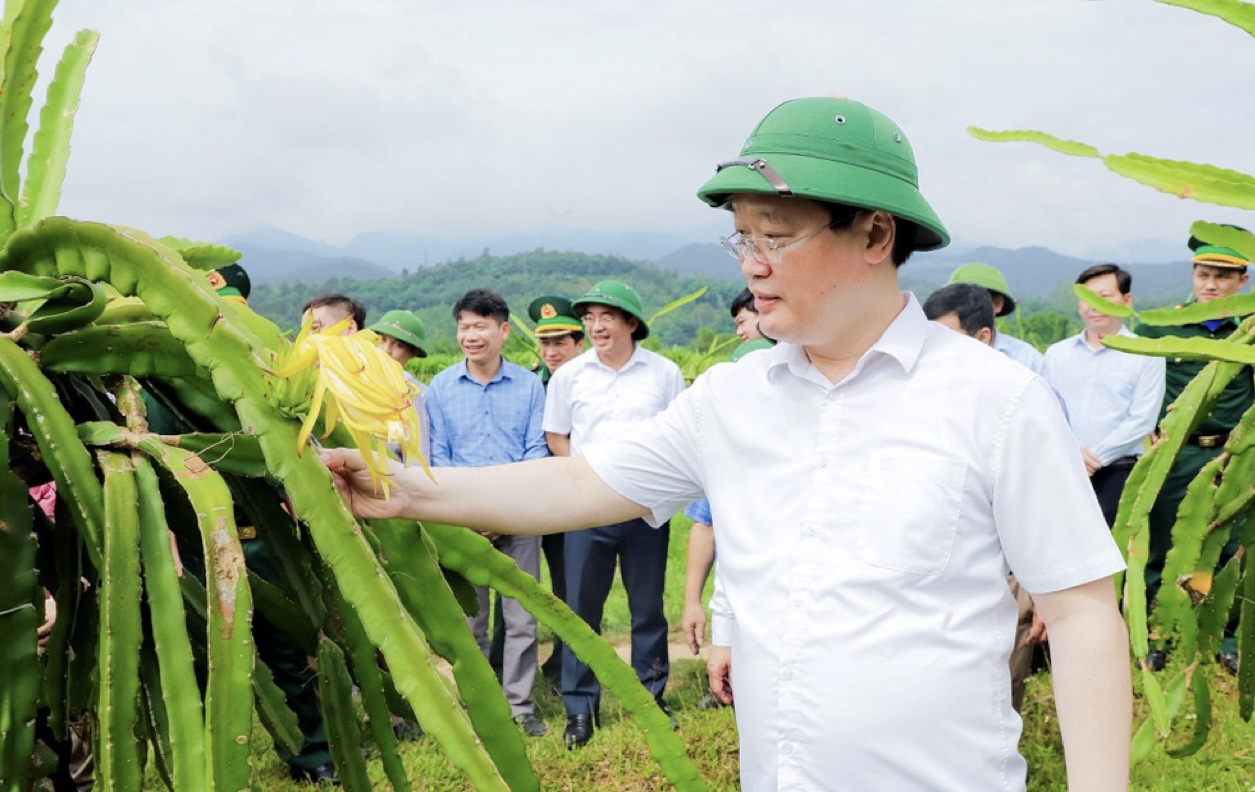 Tương Dương (Nghệ An) hợp với phát triển sinh thái, nông nghiệp hữu cơ, ứng dụng KHCN - Ảnh 2.