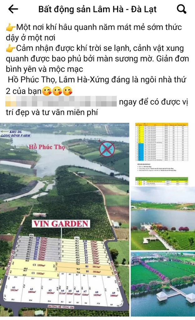 Lâm Đồng: Hàng trăm triệu đồng xử phạt cá nhân, tổ chức rao bán bất động sản sai quy định - Ảnh 2.