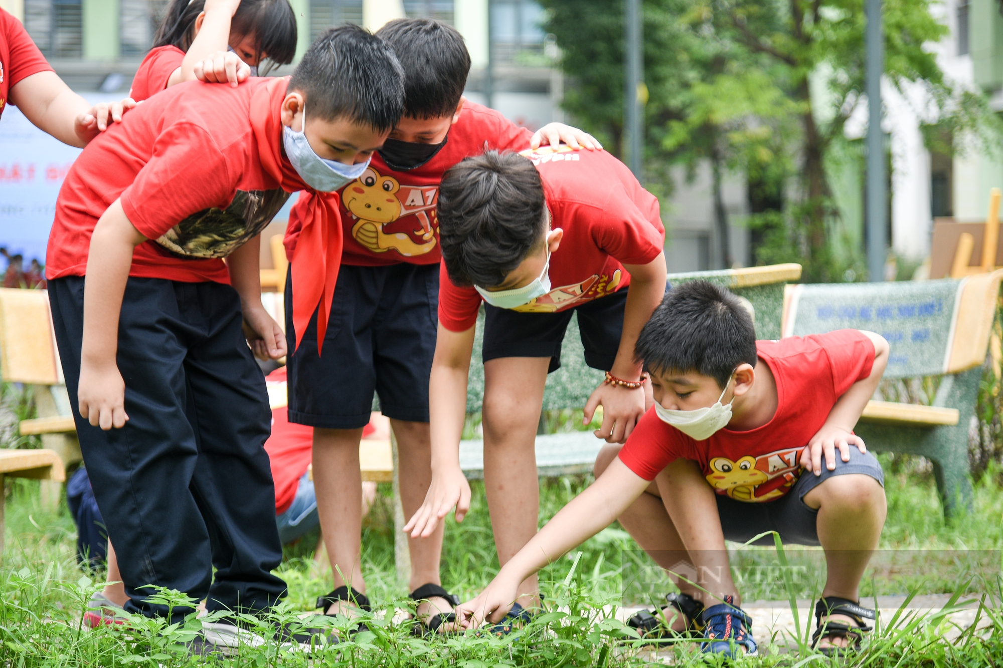 Dự án “Những công viên xanh trong lòng thành phố” năm 2022 chính thức khởi động - Ảnh 5.