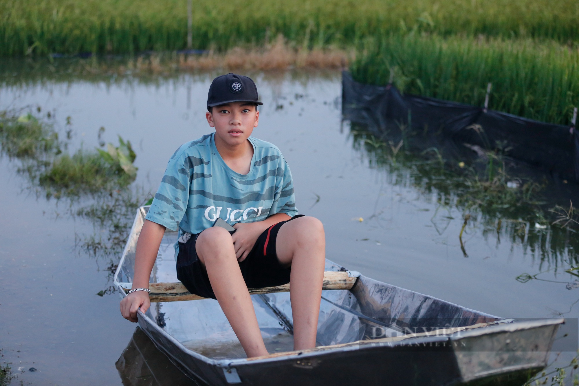 Nông dân ngoại thành Hà Nội khốn khổ vì nước ngập tàn phá hoa màu 4 ngày không rút - Ảnh 11.