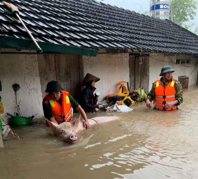 Trận mưa lớn nhất trong tháng 5 từ trước đến nay ở Tam Đảo và nhiều nơi cảnh báo điều gì? - Ảnh 1.