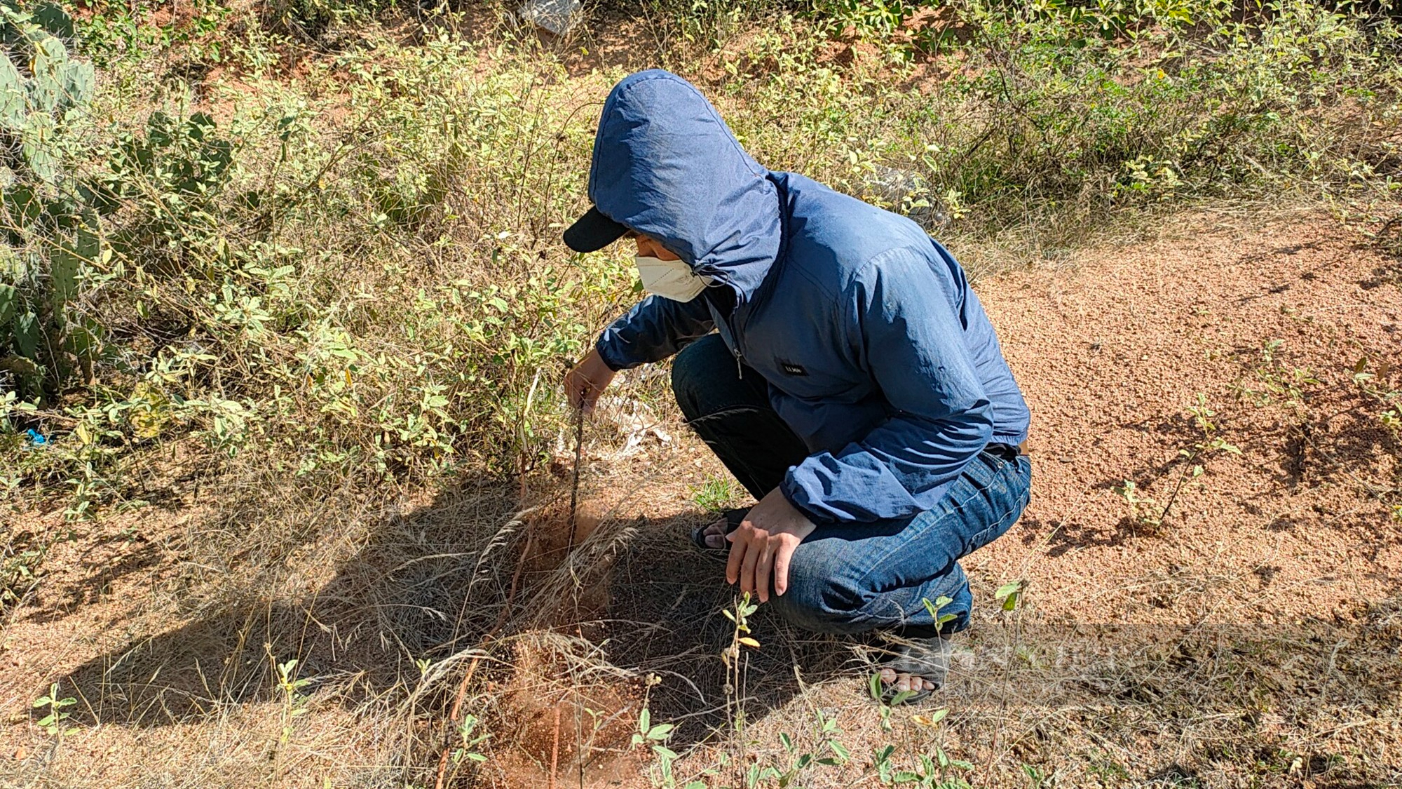 Ninh Thuận: Kiểm tra, xử phạt “đá tặc” ở núi Ma Quít mà Dân Việt phản ánh - Ảnh 4.