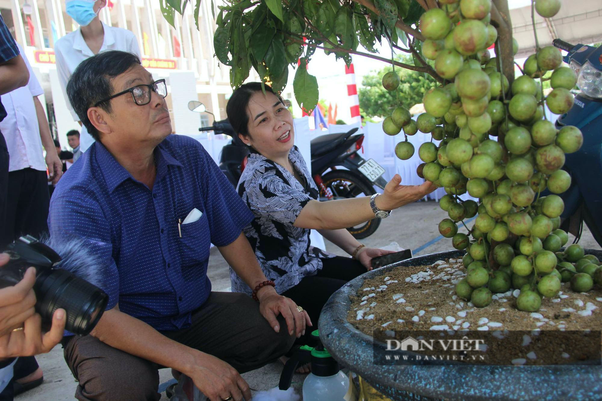 Bí thư, Chủ tịch ở 'thủ phủ cây ăn quả' Hoài Ân quảng bá nông sản sạch giúp nông dân - Ảnh 3.