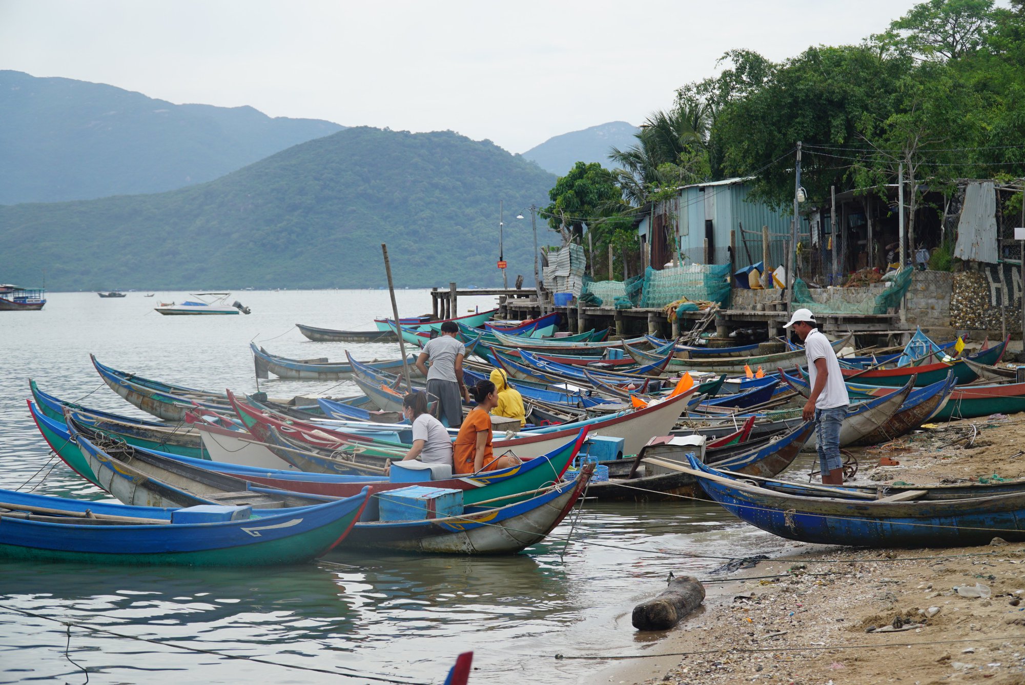 Ngư dân Khánh Hòa đi săn tôm tít biển để bán cho nhà hàng, chợ kiếm gần 500 ngàn đồng/ngày - Ảnh 3.