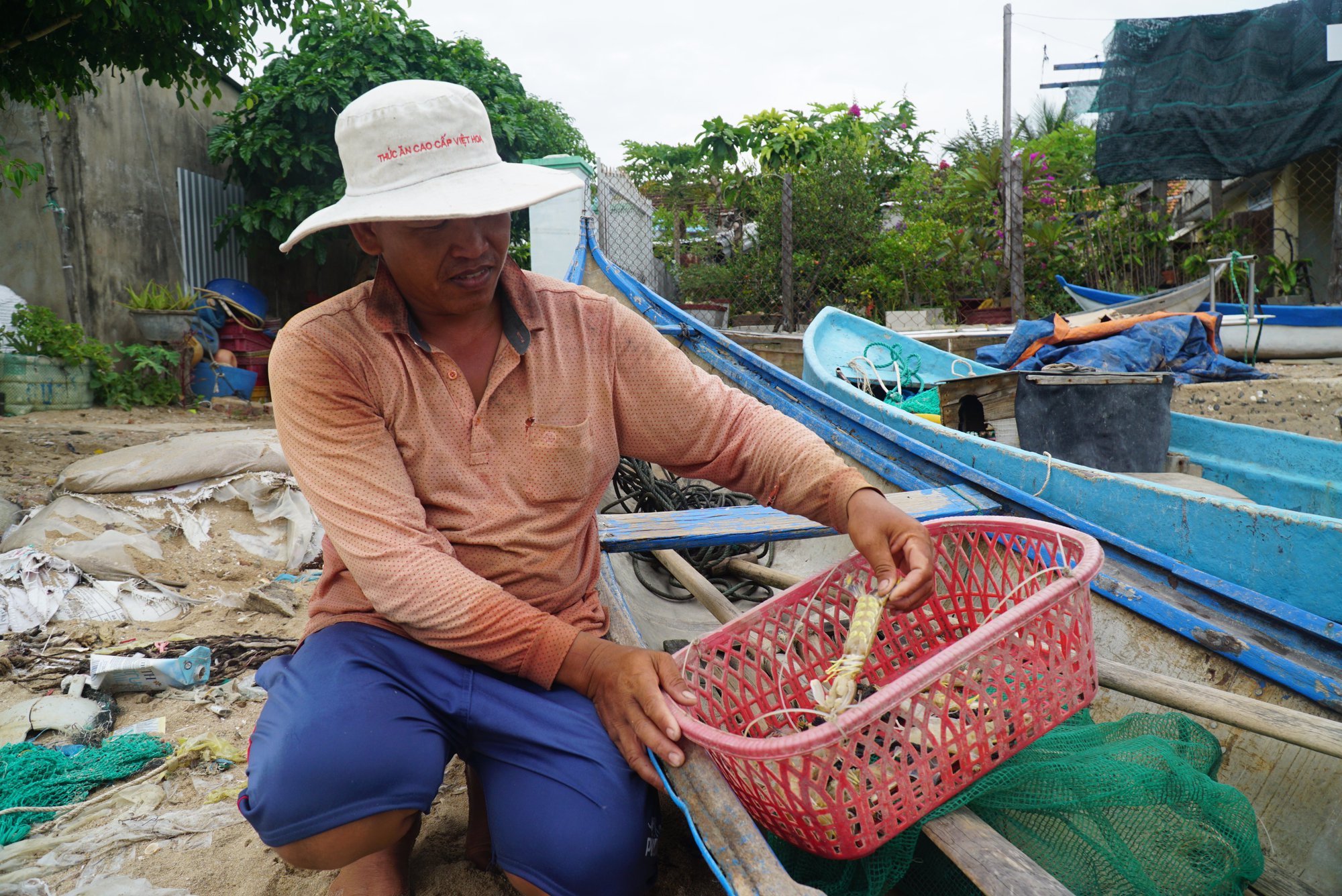 Ngư dân Khánh Hòa đi săn tôm tít biển để bán cho nhà hàng, chợ kiếm gần 500 ngàn đồng/ngày - Ảnh 1.