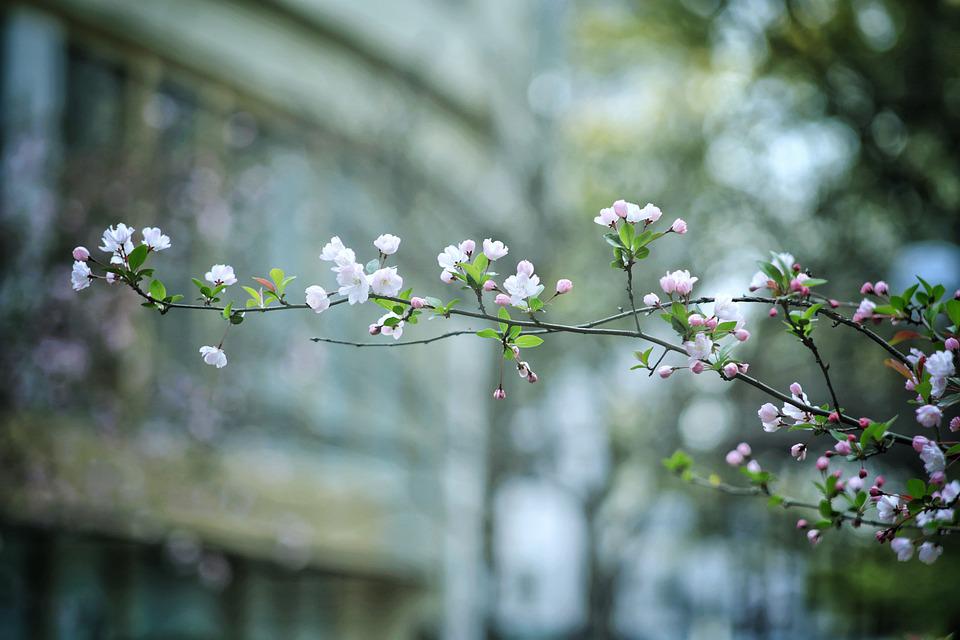 Người sinh vào 3 tháng Âm lịch này vất vả trước, hưởng phúc sau, hậu vận an nhàn, suôn sẻ - Ảnh 1.