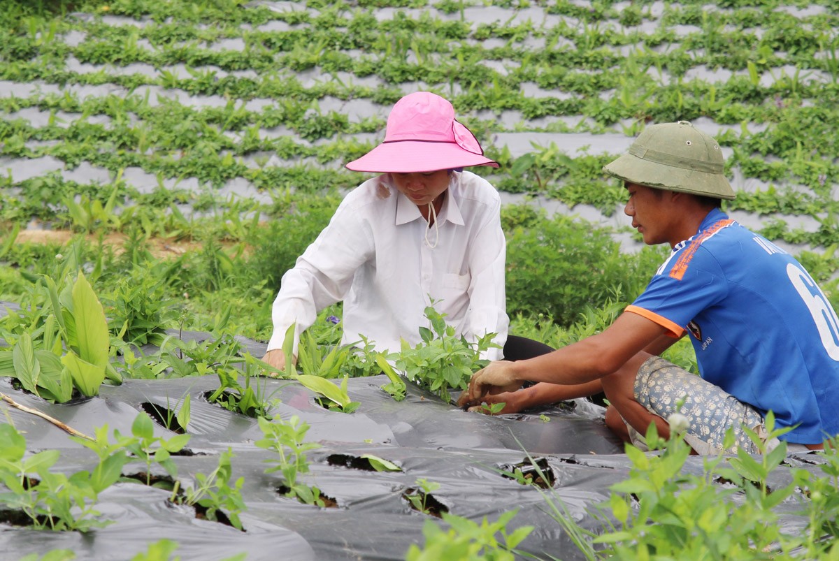 Tâm tư, kiến nghị gửi Thủ tướng: Xây dựng Lào Cai thành Trung tâm logictics, nông sản sang Trung Quốc nhanh hơn - Ảnh 3.