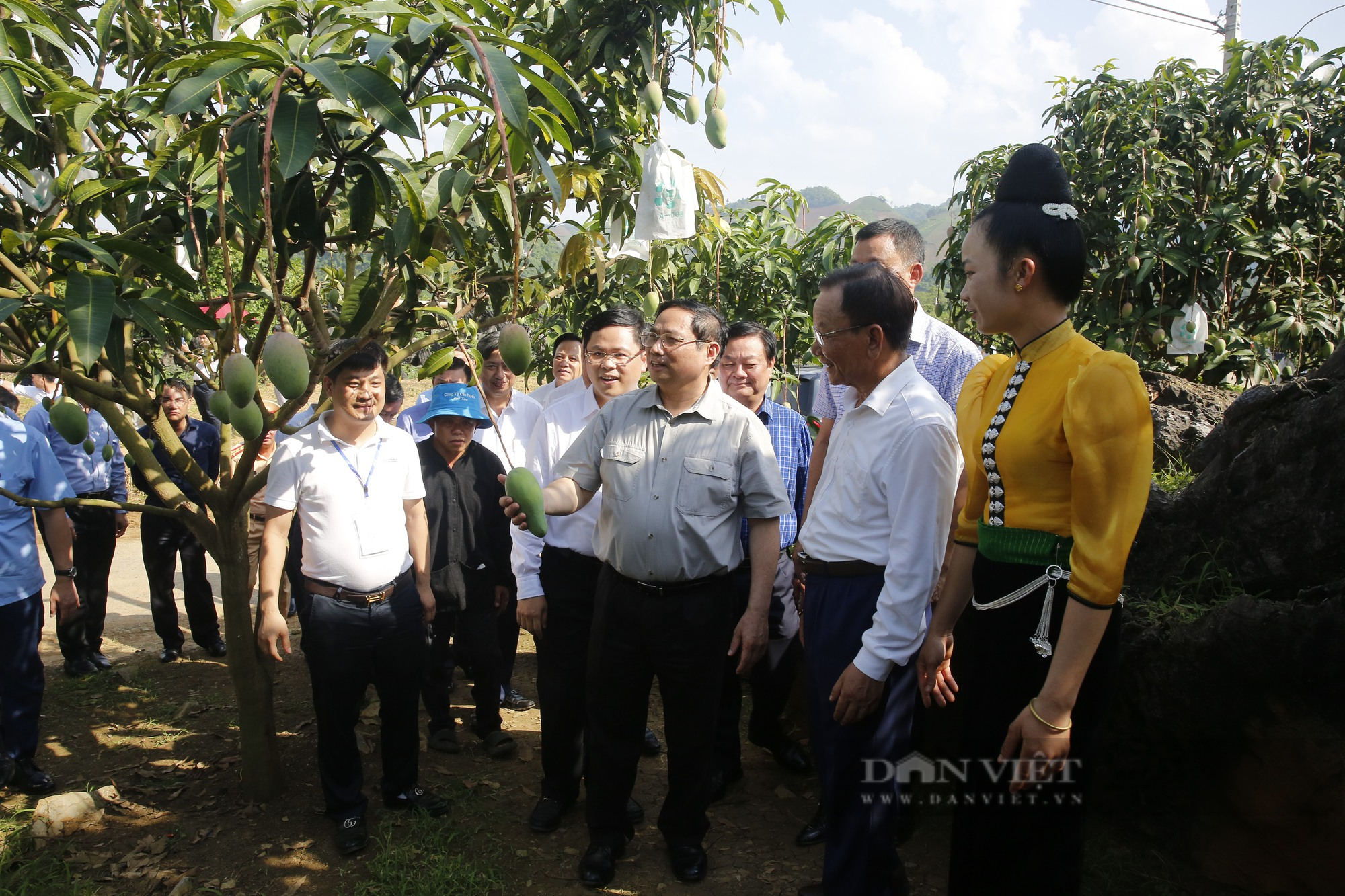 Thủ tướng Phạm Minh Chính thăm mô hình sản xuất nông nghiệp tiêu biểu tại Sơn La - Ảnh 1.