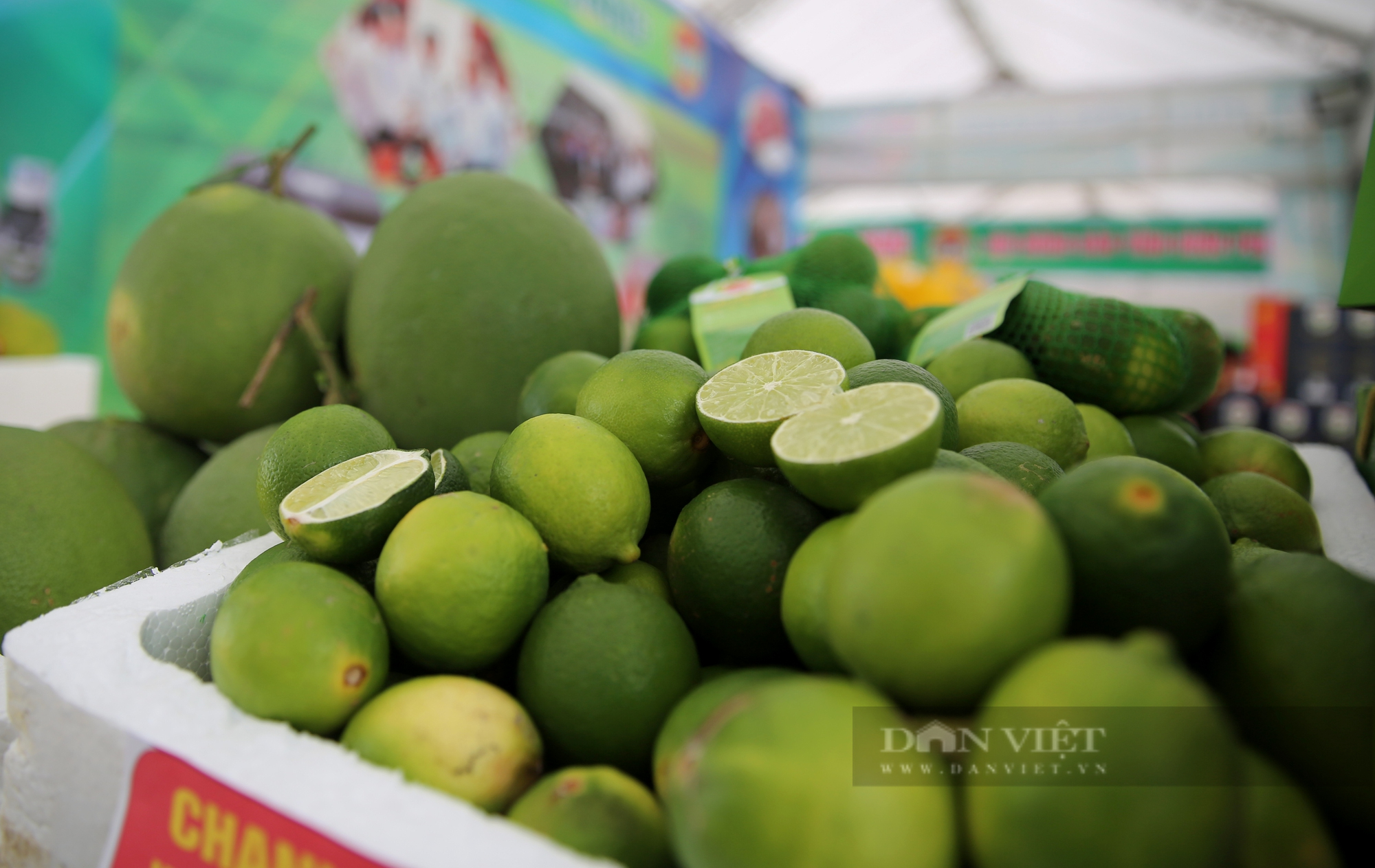 Hình ảnh Sơn La sẵn sàng cho Festival trái cây và sản phẩm OCOP Việt Nam - Ảnh 11.